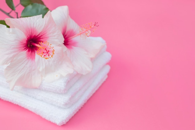 Primer plano de flores de hibisco y toalla blanca sobre fondo rosa