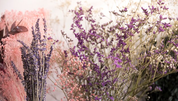 Primer plano de flores de lavanda