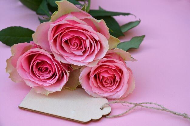 Primer plano de flores rosas rosadas y una etiqueta con espacio para texto sobre una superficie rosa