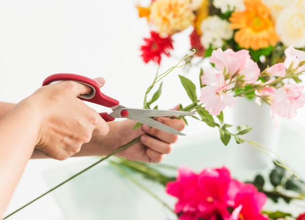 Primer plano de una floristería femenina mano tallo de flor con tijeras