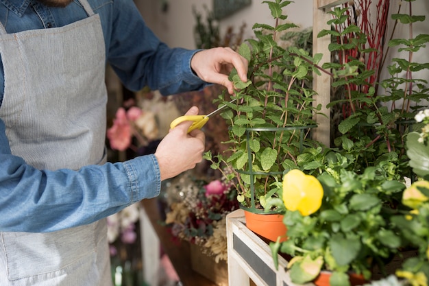 Primer plano de floristería masculina cortando las hojas de la planta con tijera