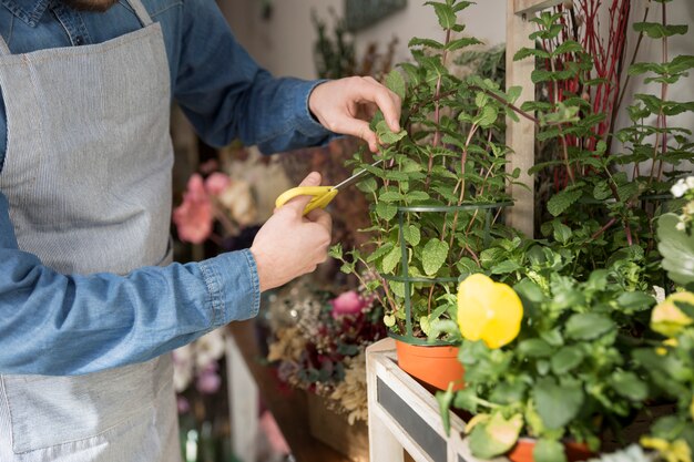 Primer plano de floristería masculina cortando las hojas de la planta con tijera