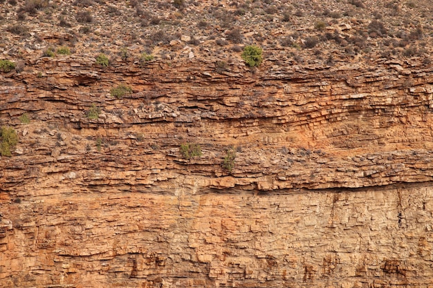 Primer plano de una formación rocosa en el campo