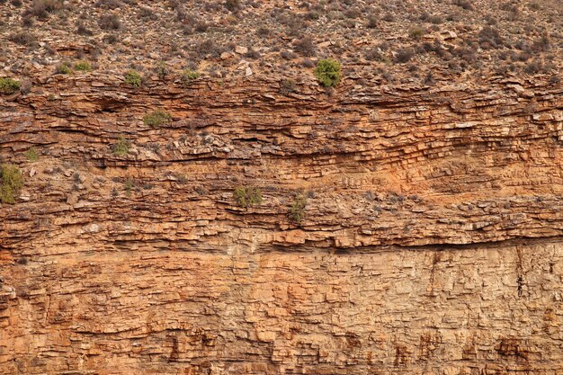 Primer plano de una formación rocosa en el campo