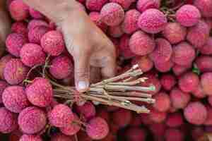 Foto gratuita primer plano de fruta lichi