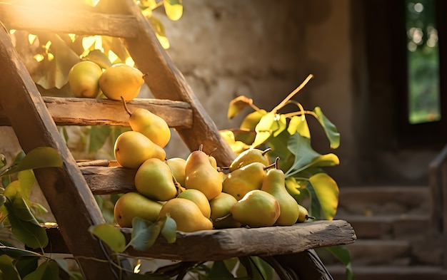 Primer plano de la fruta de temporada de la pera para el invierno