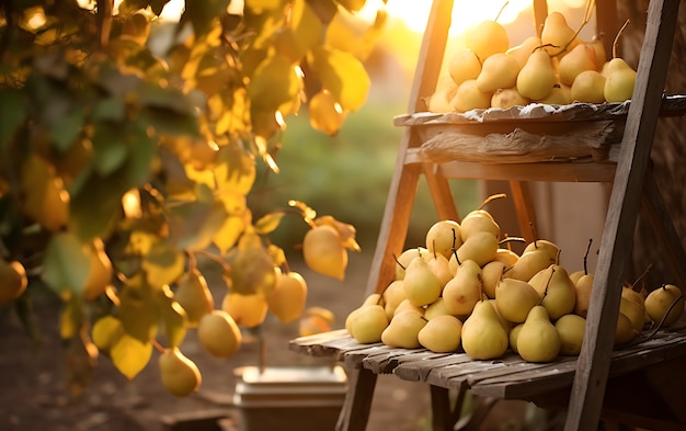 Foto gratuita primer plano de la fruta de temporada de la pera para el invierno