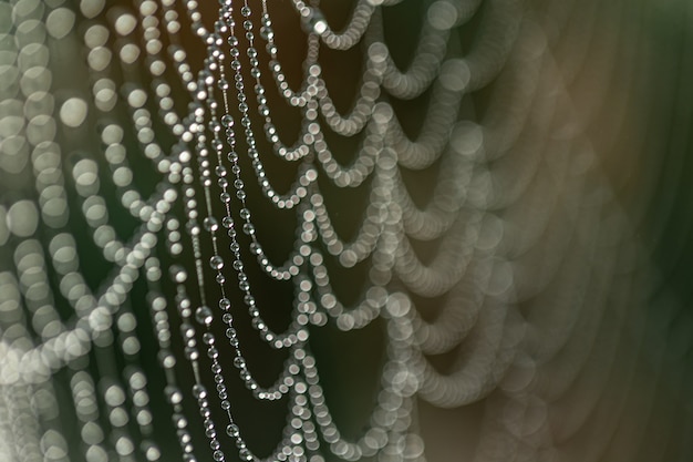 Primer plano de gotas de rocío de la mañana en una telaraña en el sol de la madrugada, fondo abstracto natural.