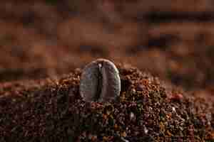 Foto gratuita primer plano de un grano de café