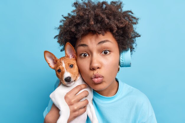 Primer plano de una hermosa joven de piel oscura mantiene los labios doblados sostiene un pequeño cachorro de pedigrí cerca de la cara expresa su amor por la mascota escucha música a través de auriculares inalámbricos aislados sobre una pared azul