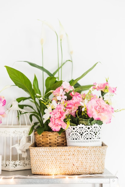 Primer plano de hermosas flores en el escritorio