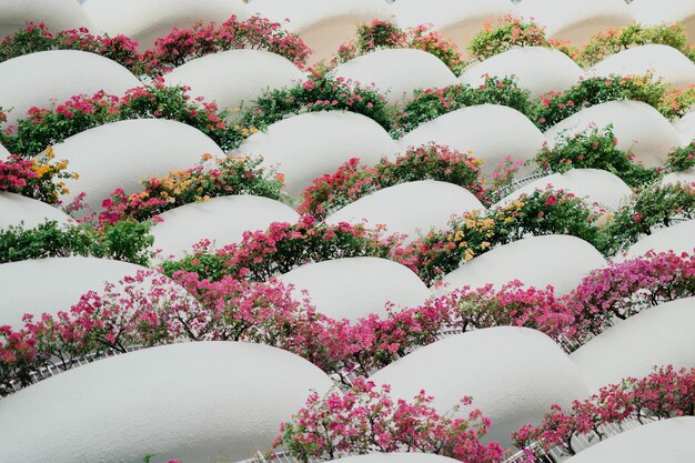 Primer plano de hermoso arreglo floral con formas geométricas