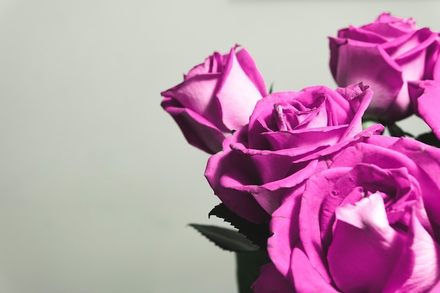 Primer plano de un hermoso arreglo floral con rosas sobre un fondo blanco con espacio de copia