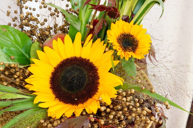 Primer plano de hermosos girasoles de pétalos amarillos