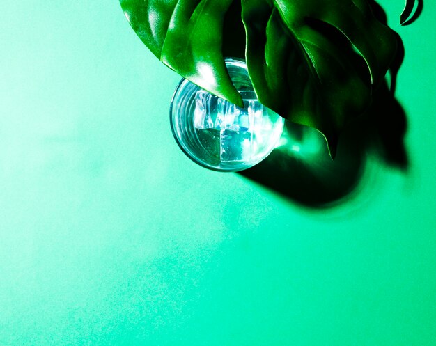 Primer plano de hoja verde sobre el vaso de agua con cubitos de hielo sobre fondo verde