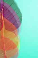 Foto gratuita primer plano de hojas de plantas de colores