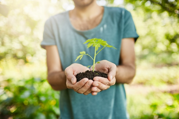 Primer plano de un hombre de piel oscura en camiseta azul con planta con hojas verdes en las manos. Jardinero muestra pico que crecerá en su jardín. Enfoque selectivo