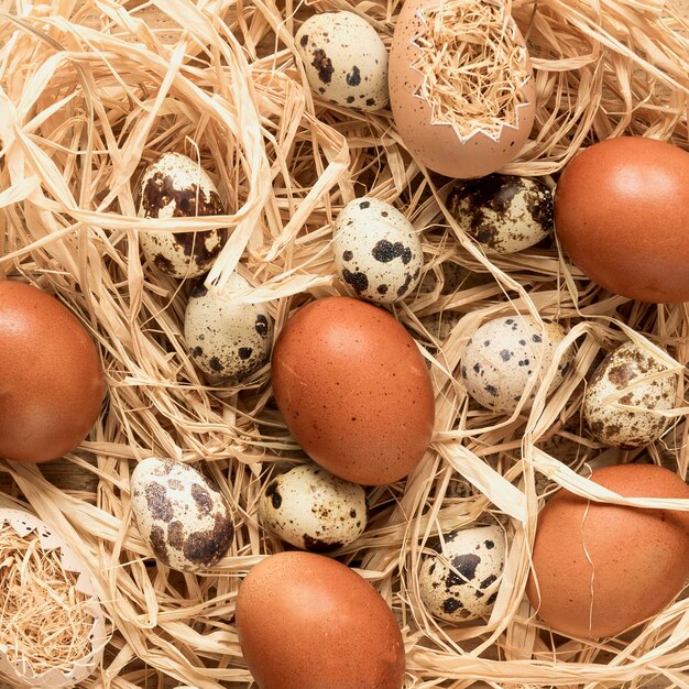 Primer plano de huevos de Pascua marrón estacional