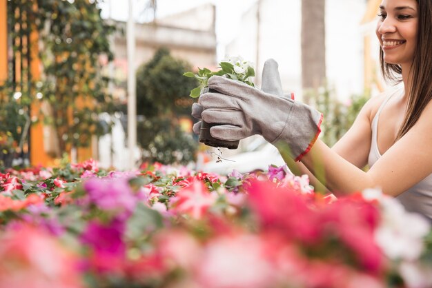 Primer plano, de, un, jardinero hembra, tenencia, florecimiento, árbol joven, en el jardín