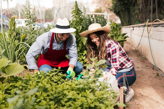 Foto gratuita primer plano de jardinero masculino y femenino examinando las plantas en el huerto