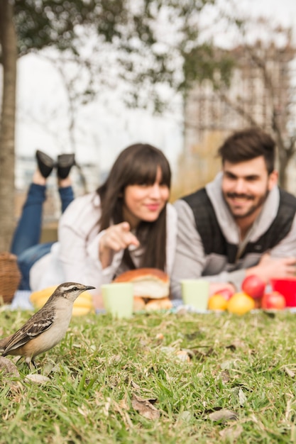 Foto gratuita primer plano de la joven pareja que mira al gorrión en la hierba verde en el parque