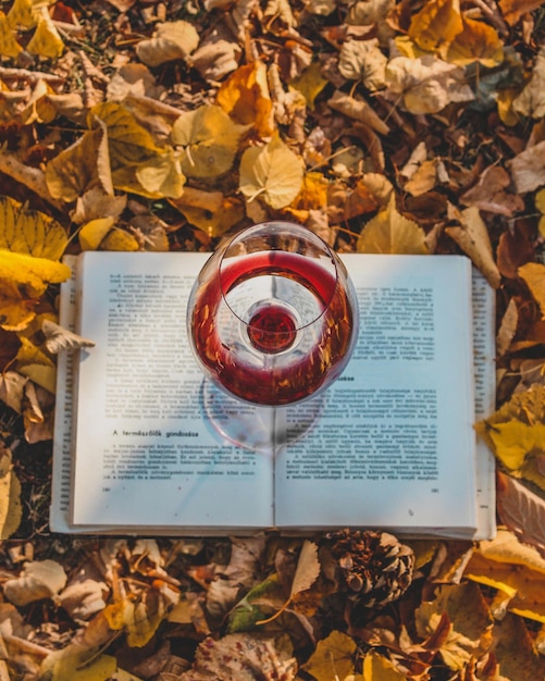 Primer plano de un libro y una copa de vino sobre fondo de hojas secas