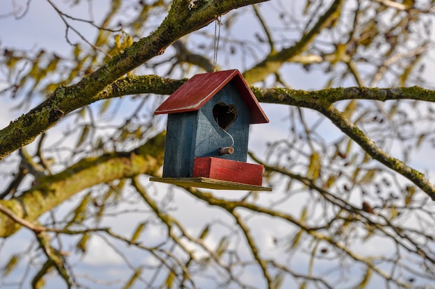 Foto gratuita primer plano de una linda casa de pájaros en rojo y azul con un corazón colgando de un árbol