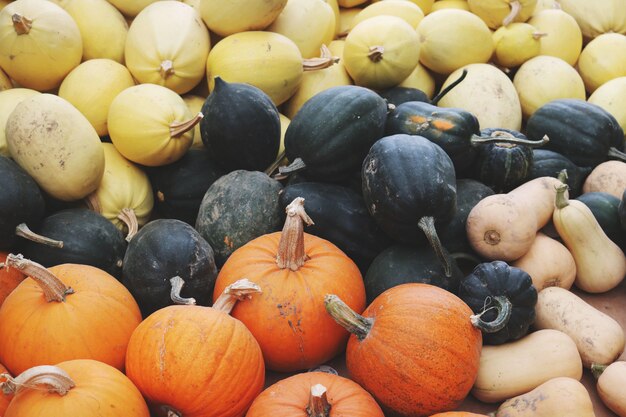 Primer plano de lote de calabaza