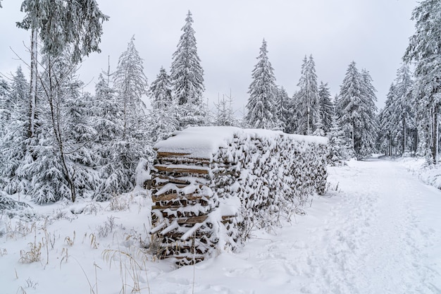 Primer plano de madera apilada en la Selva Negra cubierto de nieve en alemán