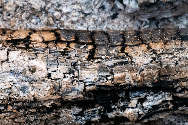 Primer plano de madera quemada con cenizas borrosas en el suelo