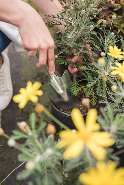 Primer plano de una mano femenina plantando plantas en maceta