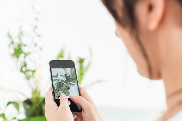 Foto gratuita primer plano de una mano femenina que toma la fotografía de plantas en maceta en el teléfono celular