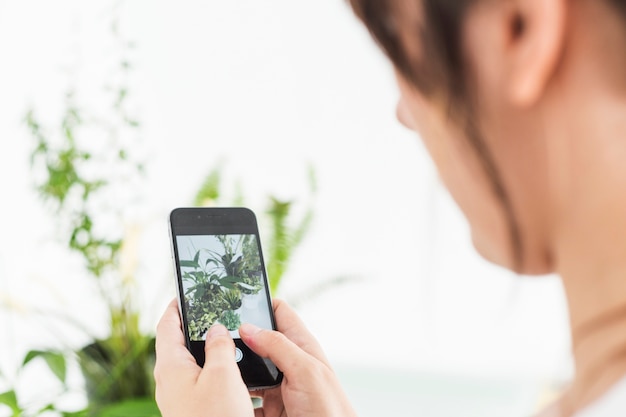 Primer plano de una mano femenina que toma la fotografía de plantas en maceta en el teléfono celular