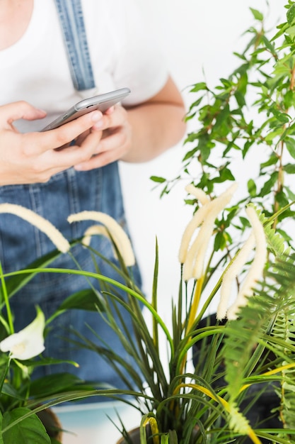 Primer plano de una mano de floristería utilizando un teléfono móvil cerca de las plantas