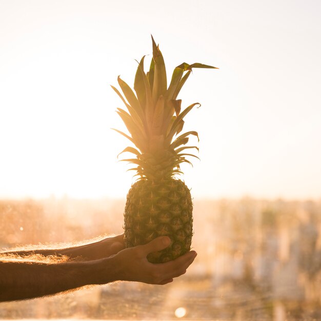 Primer plano de la mano de un hombre sosteniendo piña entera contra la luz del sol brillante