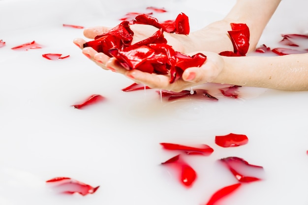 Foto gratuita primer plano de la mano húmeda de una mujer con pétalos de flores rojas en baño de spa con leche