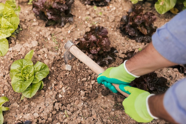 Primer plano de la mano de un jardinero de sexo masculino que cava el suelo en el huerto