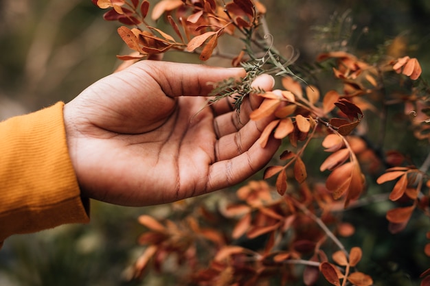 Primer plano de una mano masculina excursionista tocando las hojas de la planta