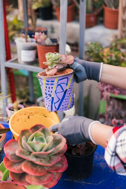 Primer plano de la mano de la mujer sosteniendo la maceta pintada de cactus