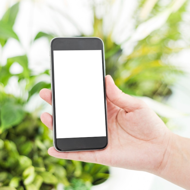 Primer plano de la mano de una mujer sosteniendo un teléfono móvil con pantalla blanca en blanco