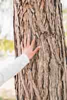 Foto gratuita primer plano de la mano de la niña tocando la corteza del árbol