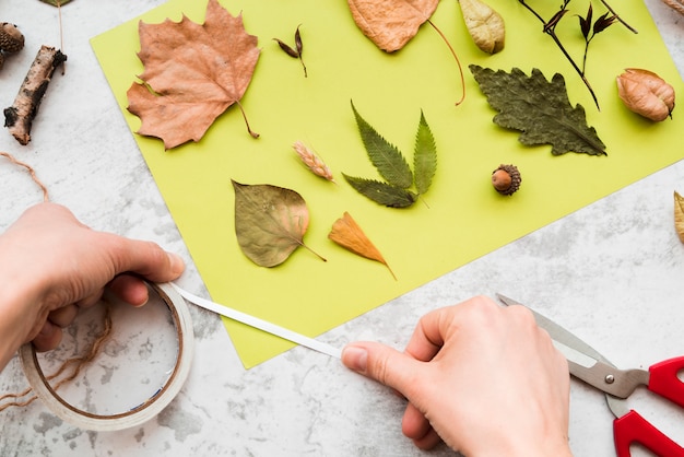 Primer plano de la mano de una persona decorando el libro verde con hojas de otoño