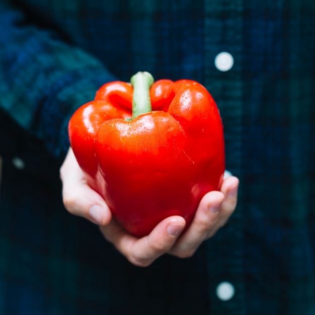 Primer plano de la mano de una persona con pimiento rojo