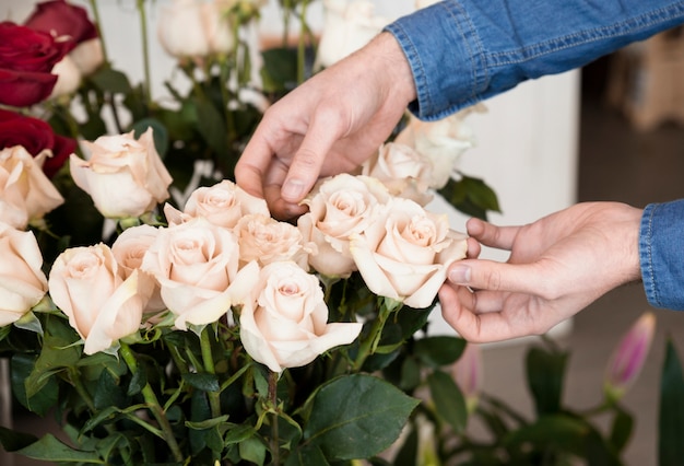 Primer plano de la mano de una persona tocando las rosas