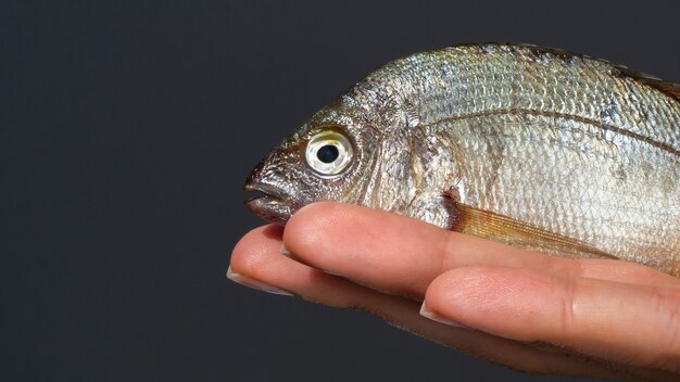 Primer plano mano pescado con branquias