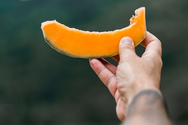 Foto gratuita primer plano de la mano que da la rebanada de melón almizcle