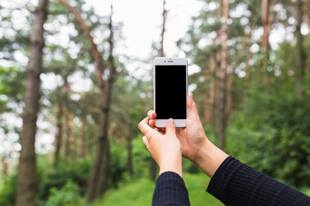 Primer plano de la mano que sostiene el teléfono móvil en el bosque