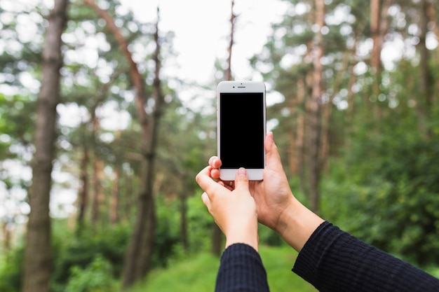 Primer plano de la mano que sostiene el teléfono móvil en el bosque