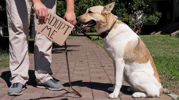 Primer plano mano sosteniendo adoptarme banner