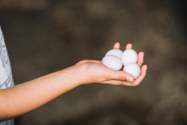 Primer plano de mano sosteniendo huevos blancos en la mano